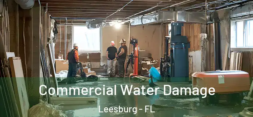  Commercial Water Damage Leesburg - FL