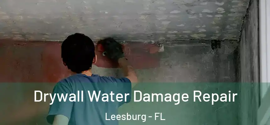  Drywall Water Damage Repair Leesburg - FL
