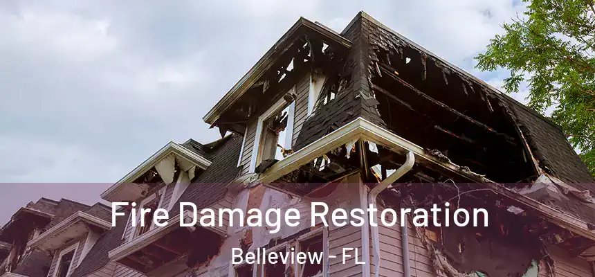  Fire Damage Restoration Belleview - FL