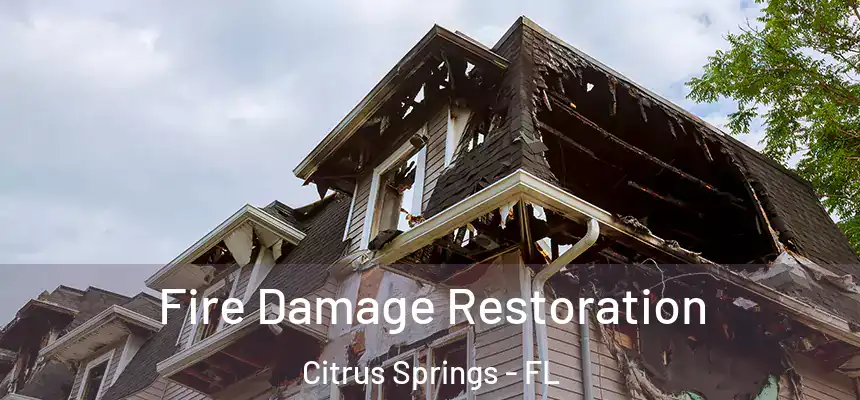  Fire Damage Restoration Citrus Springs - FL