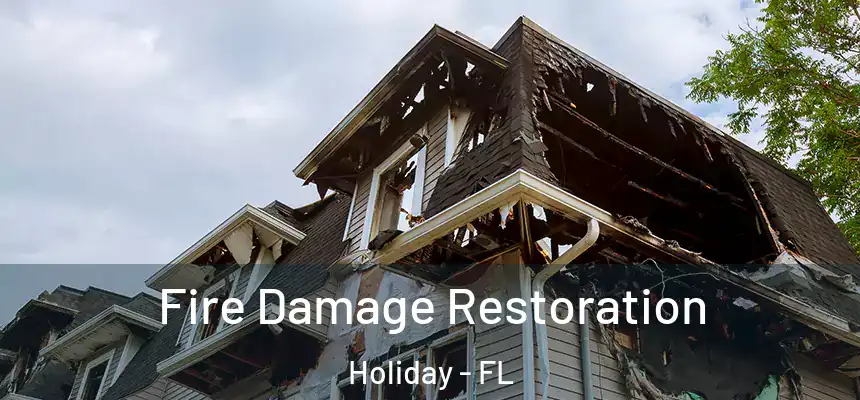  Fire Damage Restoration Holiday - FL