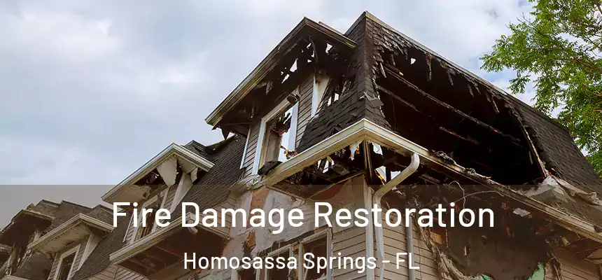  Fire Damage Restoration Homosassa Springs - FL