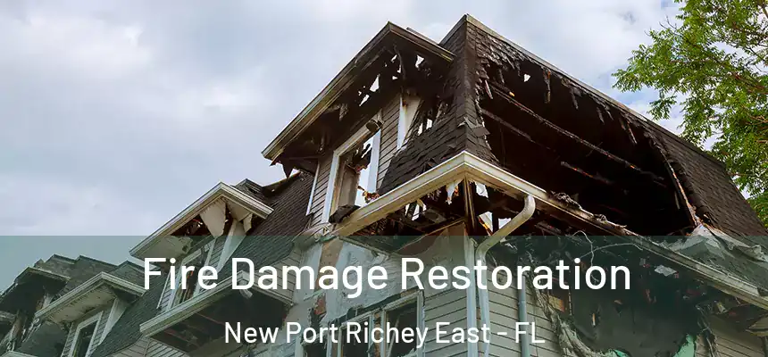  Fire Damage Restoration New Port Richey East - FL