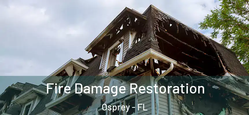  Fire Damage Restoration Osprey - FL