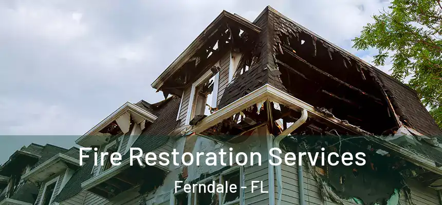  Fire Restoration Services Ferndale - FL