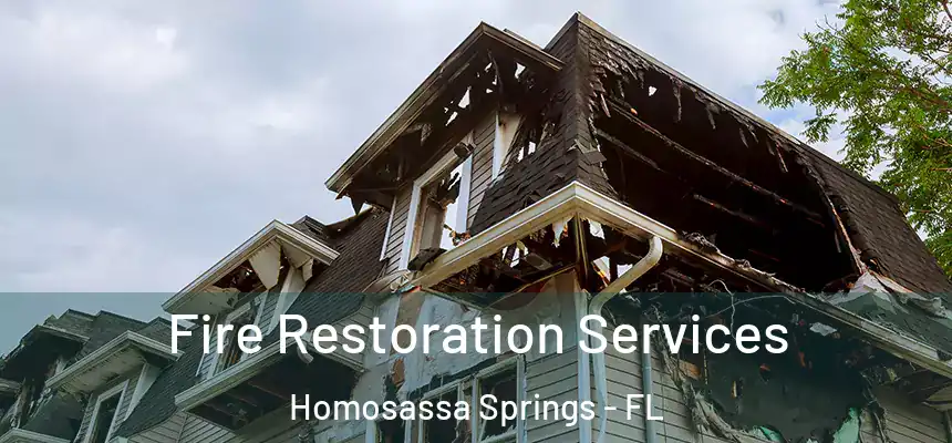  Fire Restoration Services Homosassa Springs - FL