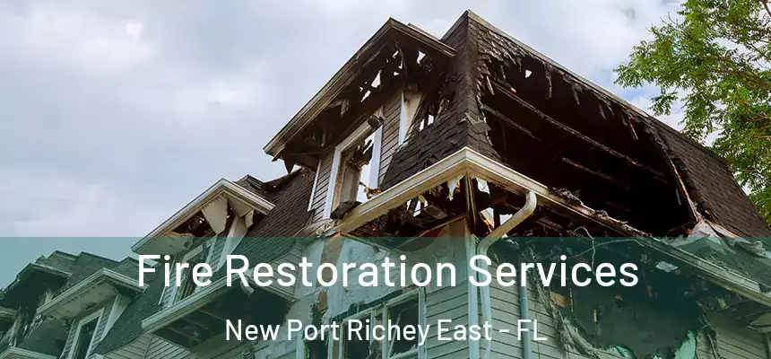  Fire Restoration Services New Port Richey East - FL