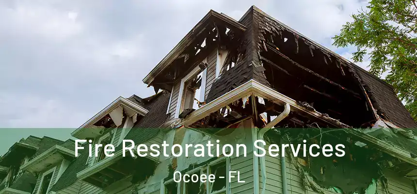  Fire Restoration Services Ocoee - FL