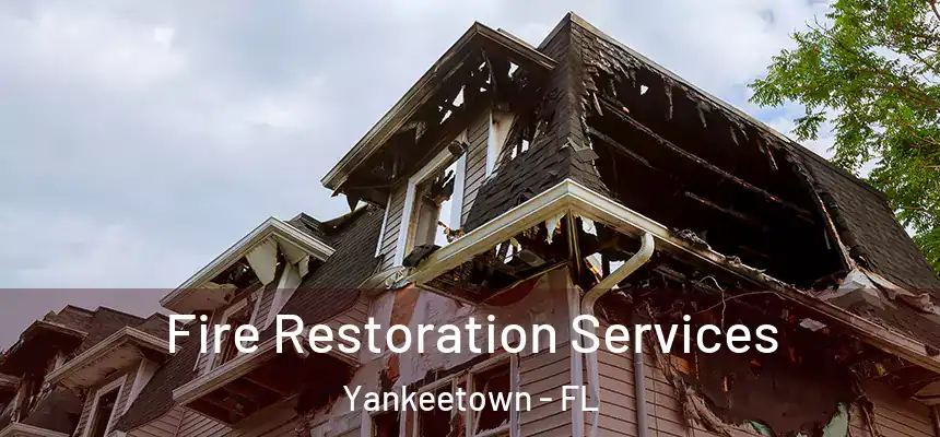  Fire Restoration Services Yankeetown - FL