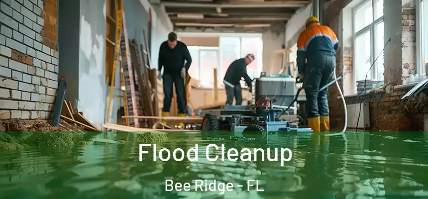  Flood Cleanup Bee Ridge - FL