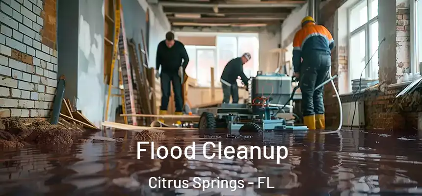  Flood Cleanup Citrus Springs - FL