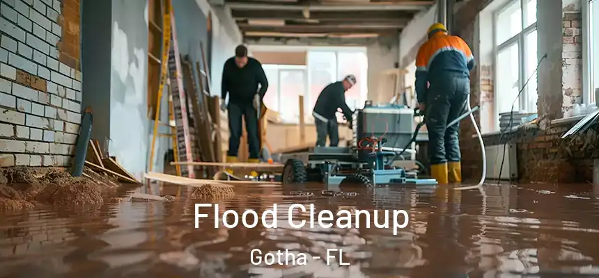  Flood Cleanup Gotha - FL