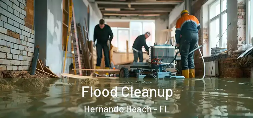  Flood Cleanup Hernando Beach - FL