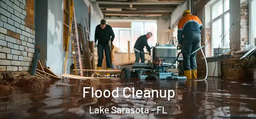  Flood Cleanup Lake Sarasota - FL