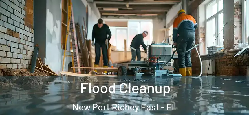  Flood Cleanup New Port Richey East - FL
