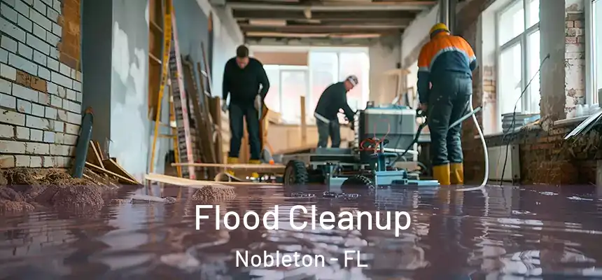  Flood Cleanup Nobleton - FL