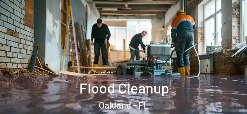  Flood Cleanup Oakland - FL