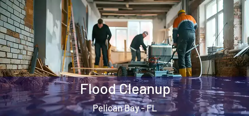  Flood Cleanup Pelican Bay - FL