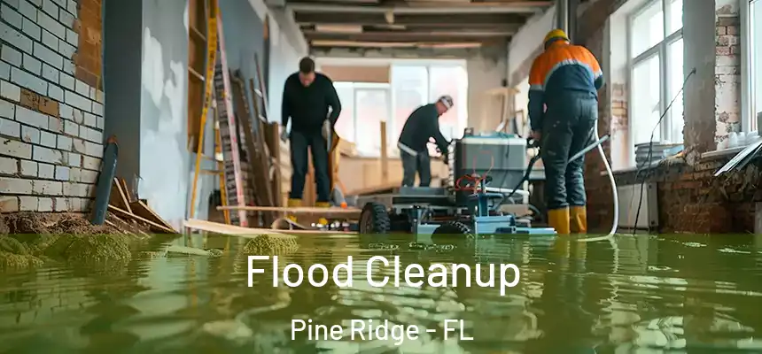  Flood Cleanup Pine Ridge - FL
