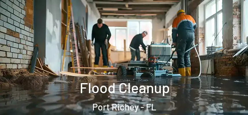  Flood Cleanup Port Richey - FL