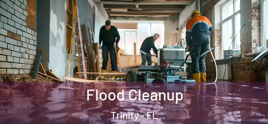  Flood Cleanup Trinity - FL