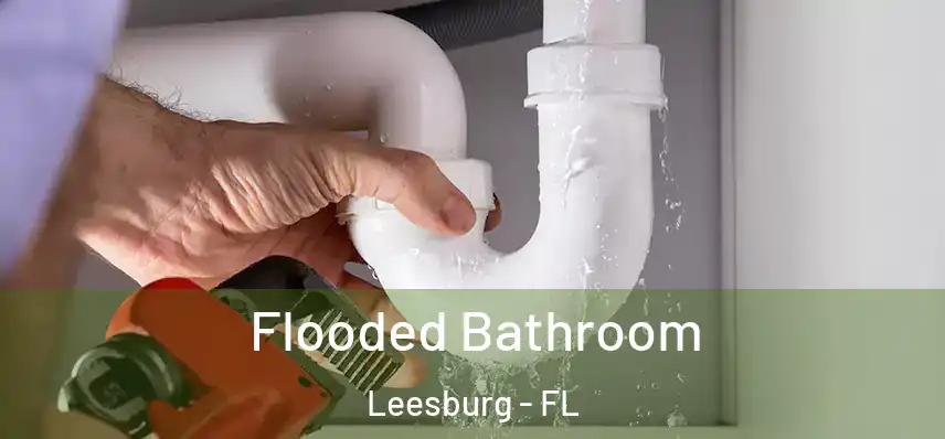  Flooded Bathroom Leesburg - FL