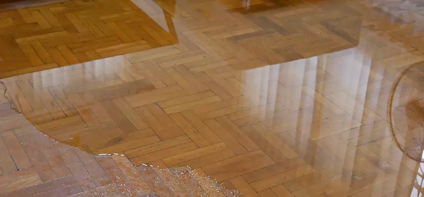 Fire and Flood Restoration in Leesburg