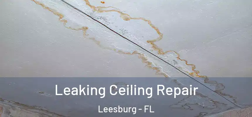  Leaking Ceiling Repair Leesburg - FL