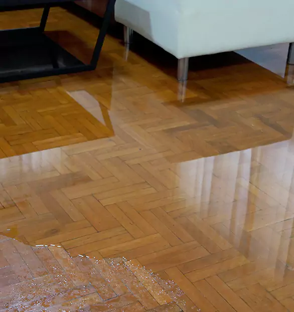 Trusted Emergency Water Restoration Company in Leesburg, FL