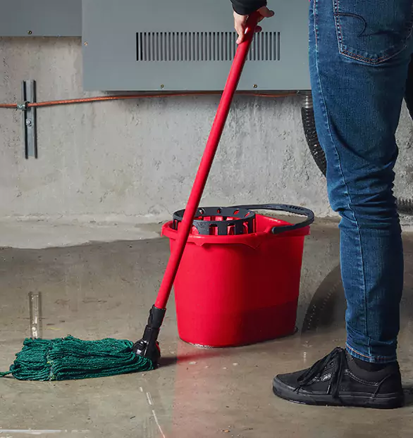 Trusted Sewage Cleanup Company in Leesburg, FL