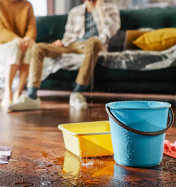 Trusted Water Restoration Company in Leesburg, FL