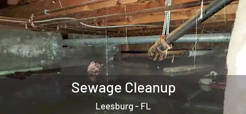  Sewage Cleanup Leesburg - FL