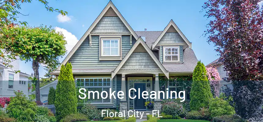 Smoke Cleaning Floral City - FL