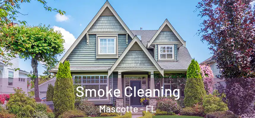  Smoke Cleaning Mascotte - FL