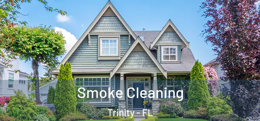  Smoke Cleaning Trinity - FL