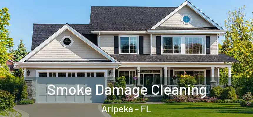  Smoke Damage Cleaning Aripeka - FL