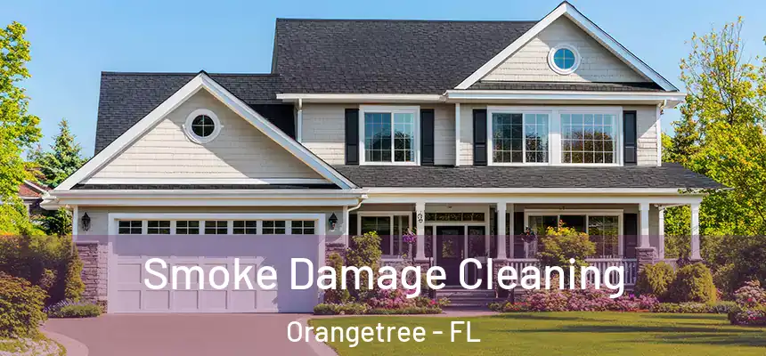  Smoke Damage Cleaning Orangetree - FL