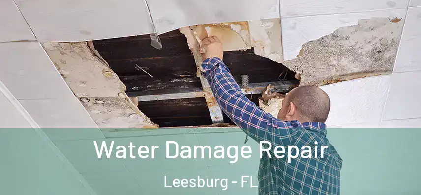  Water Damage Repair Leesburg - FL