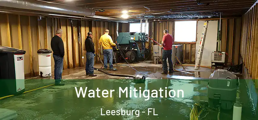  Water Mitigation Leesburg - FL