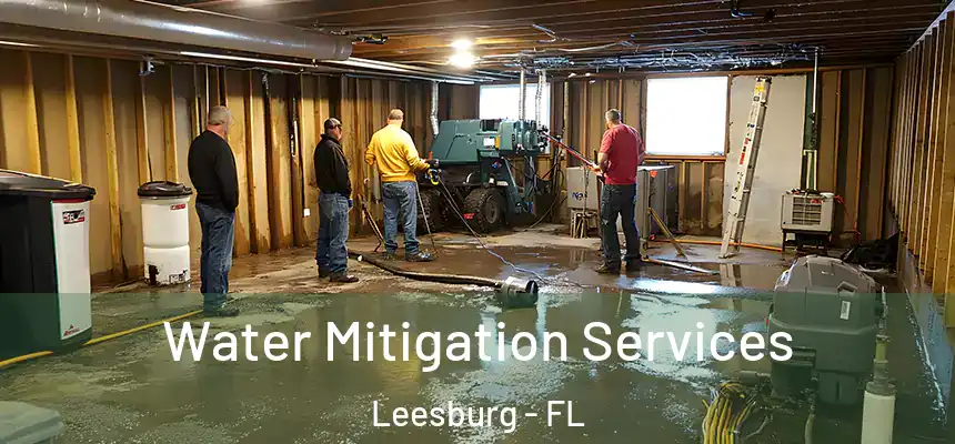  Water Mitigation Services Leesburg - FL