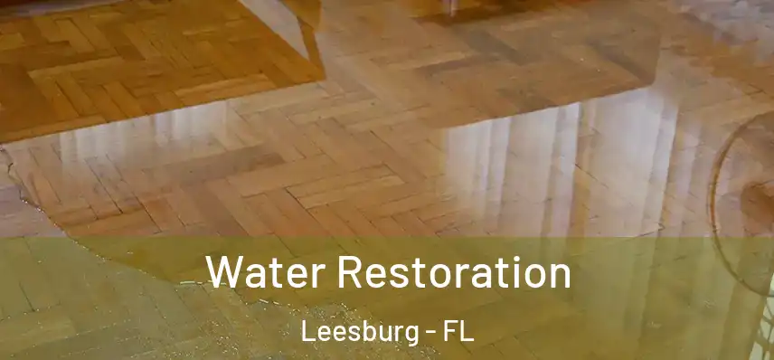  Water Restoration Leesburg - FL